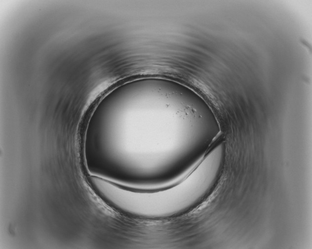 X0000095881122200801251134