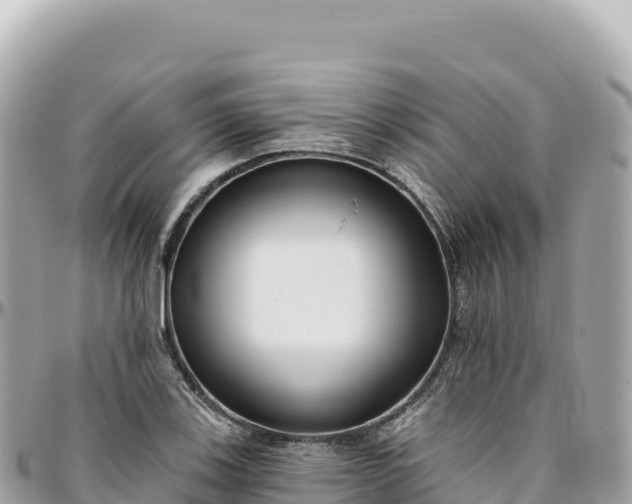 X0000095881123200801251134