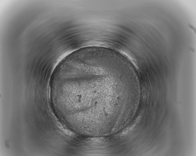 X0000095881125200801251134