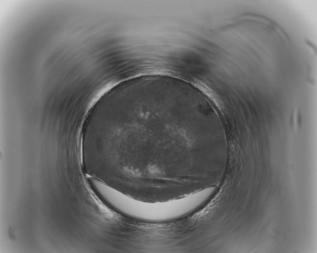 X0000095881127200801251134