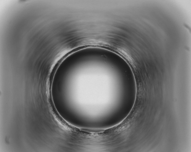 X0000095881128200801251134