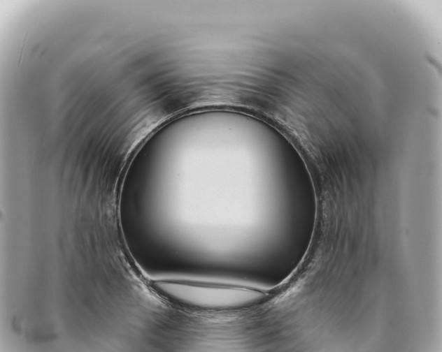 X0000095881129200801251134