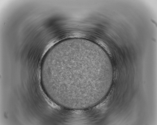 X0000095881130200801251134