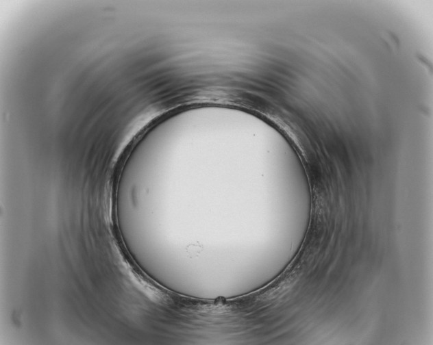 X0000095881131200801251134