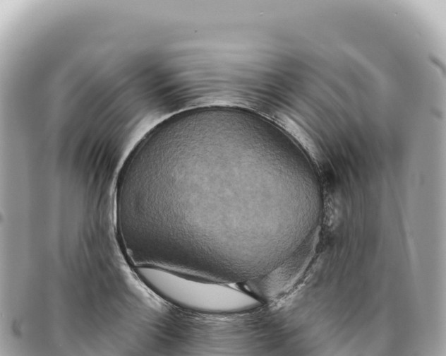 X0000095881132200801251134