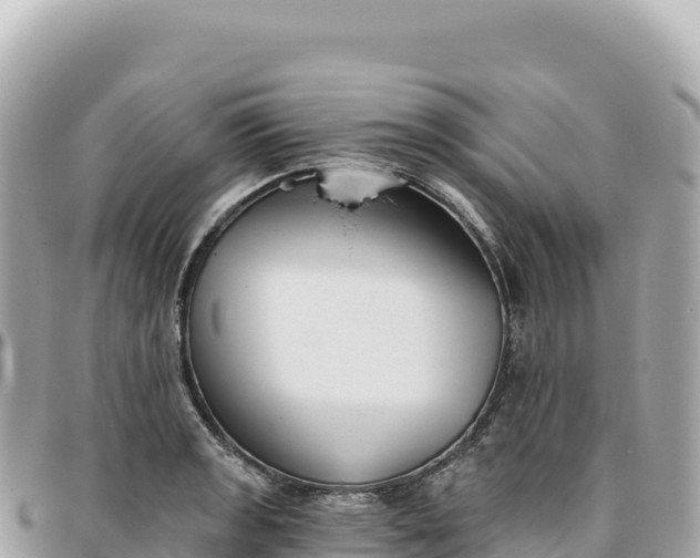 X0000095881133200801251134