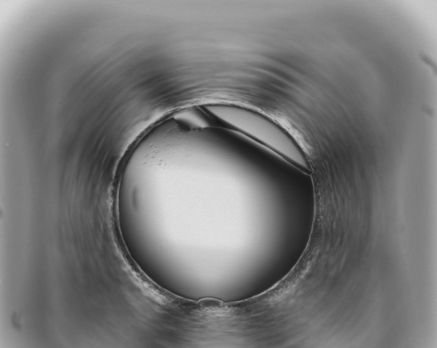 X0000095881134200801251134