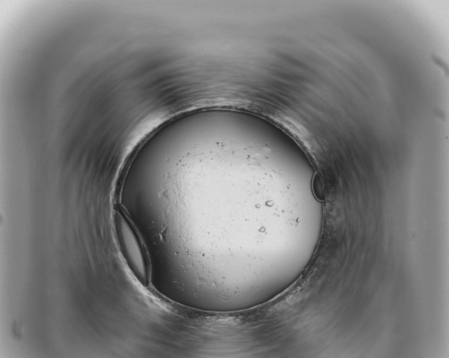 X0000095881135200801251134