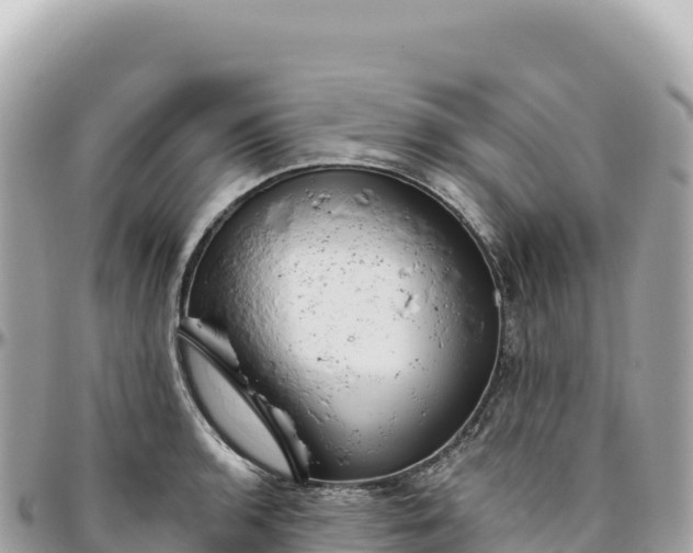 X0000095881136200801251134