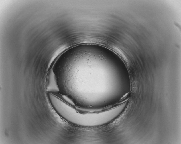 X0000095881138200801251135