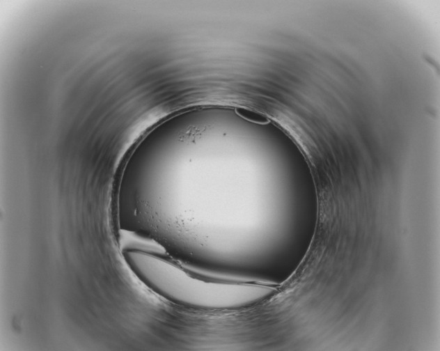 X0000095881139200801251135