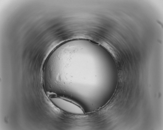 X0000095881140200801251135