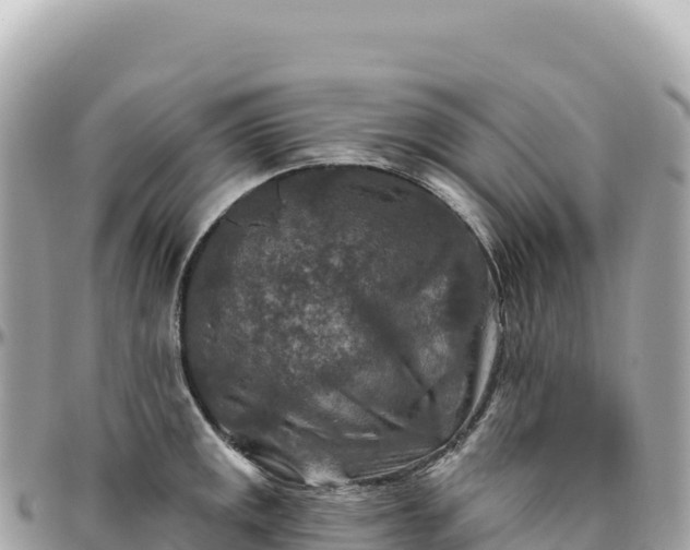 X0000095881141200801251135