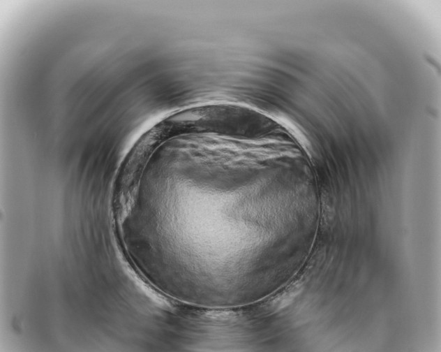 X0000095881142200801251135