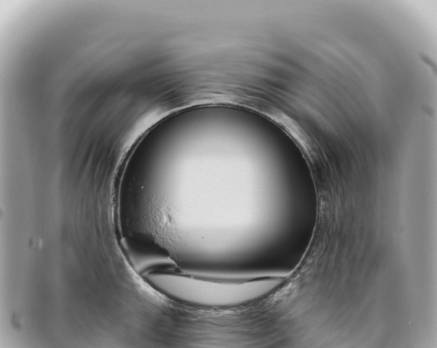 X0000095881143200801251135