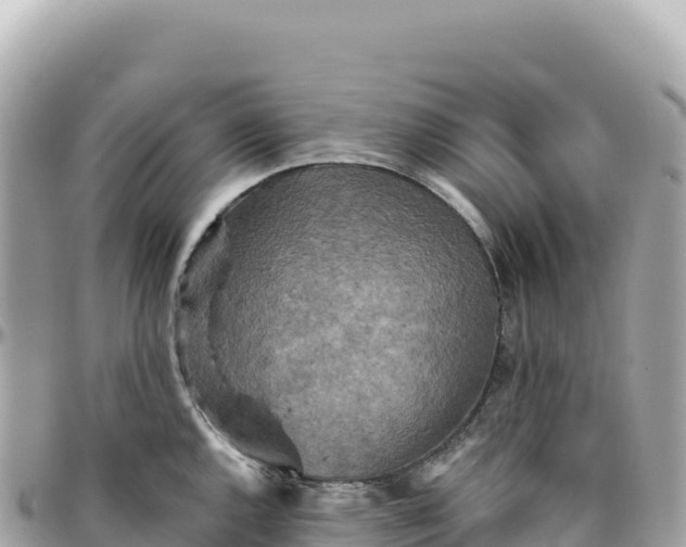 X0000095881144200801251135