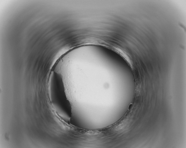 X0000095881146200801251135