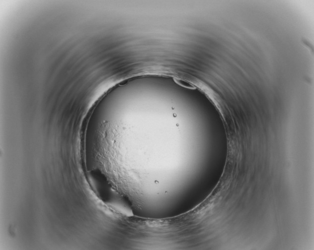 X0000095881147200801251135