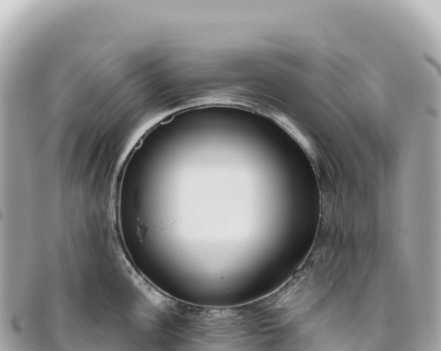 X0000095881148200801251135