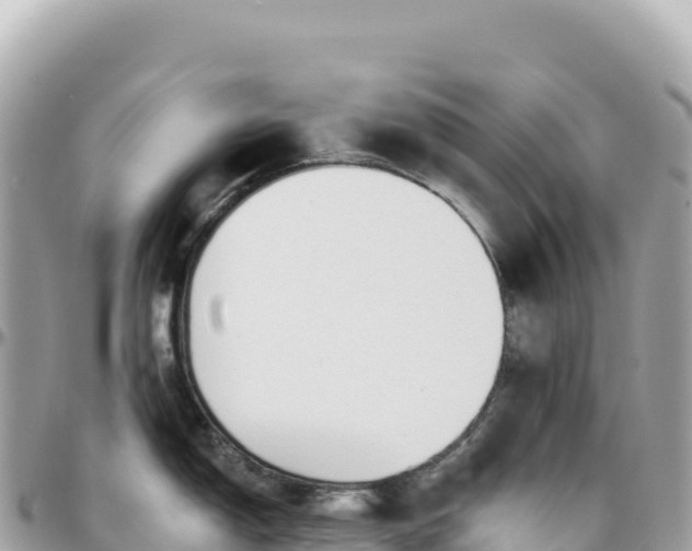 X0000095881150200801251135