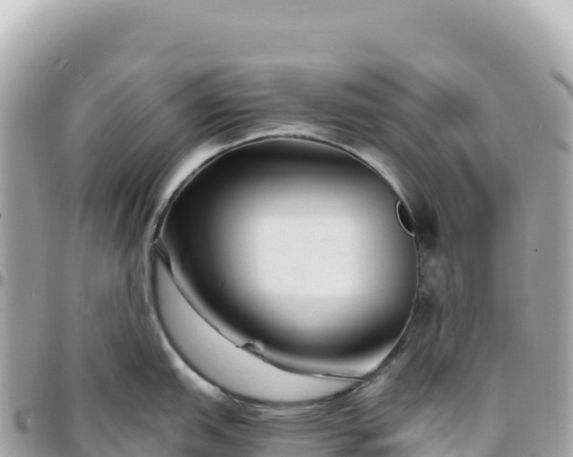 X0000095881151200801251135