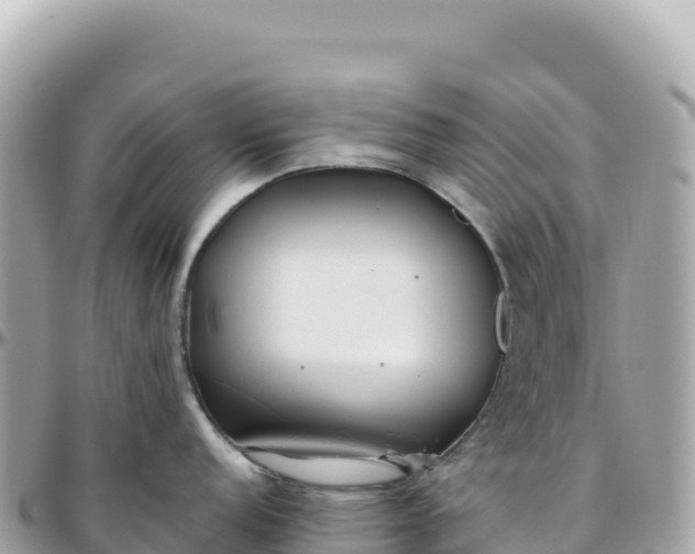 X0000095881152200801251135