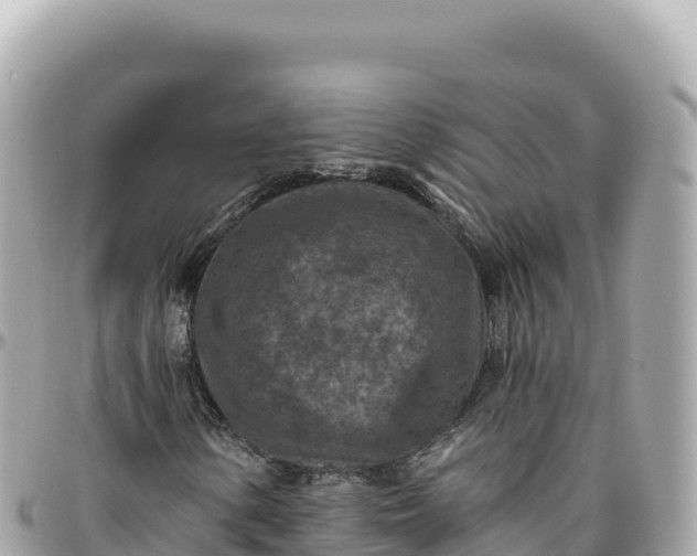 X0000095881154200801251134