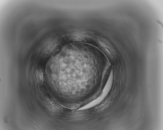 X0000095881155200801251134