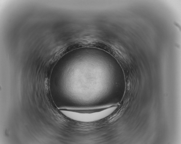 X0000095881156200801251134