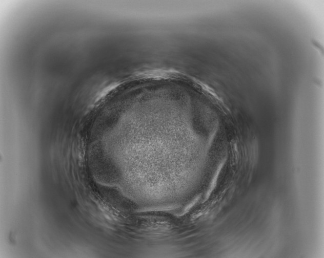 X0000095881158200801251134