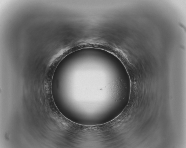 X0000095881159200801251134