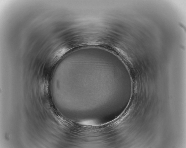 X0000095881161200801251134