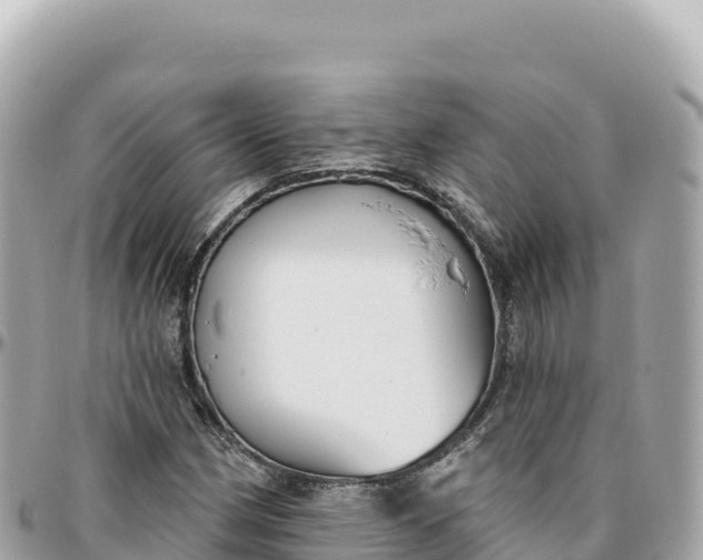 X0000095881162200801251134