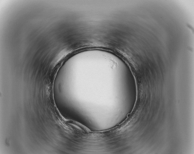 X0000095881163200801251134