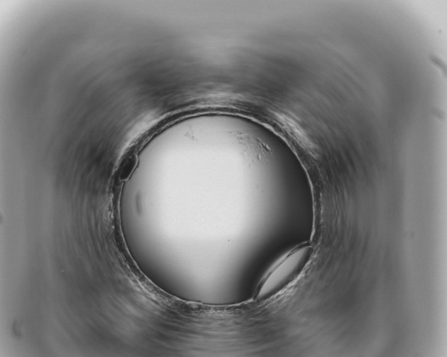 X0000095881164200801251134