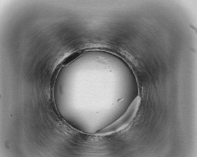 X0000095881165200801251134