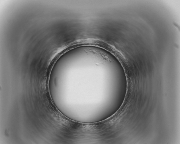 X0000095881166200801251134