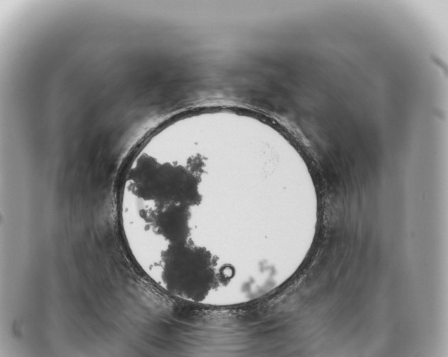 X0000095881167200801251134