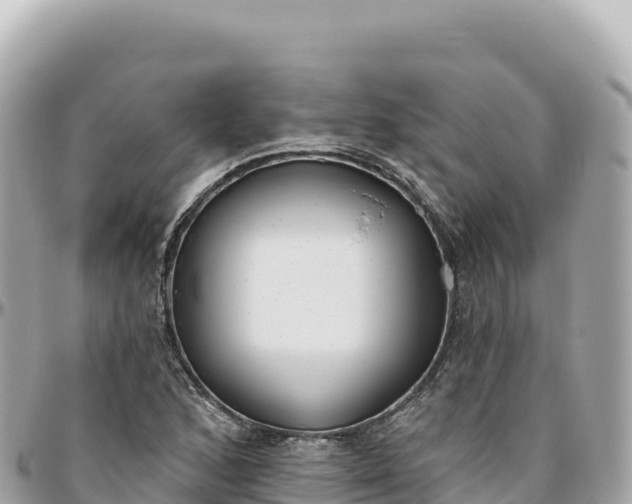 X0000095881168200801251134