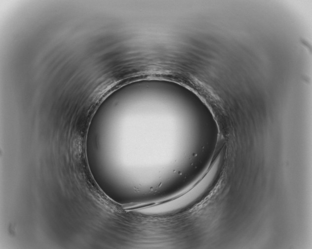 X0000095881169200801251134