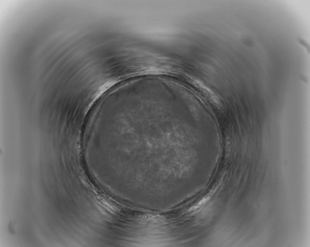 X0000095881170200801251134