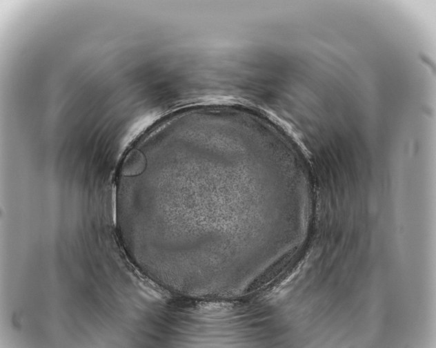 X0000095881171200801251134