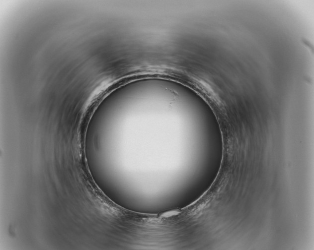 X0000095881172200801251134