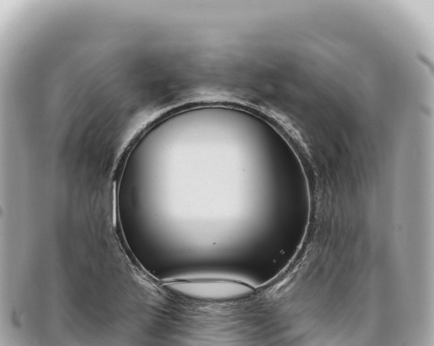 X0000095881175200801251134