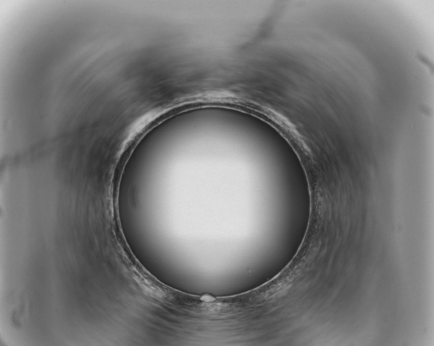 X0000095881176200801251134