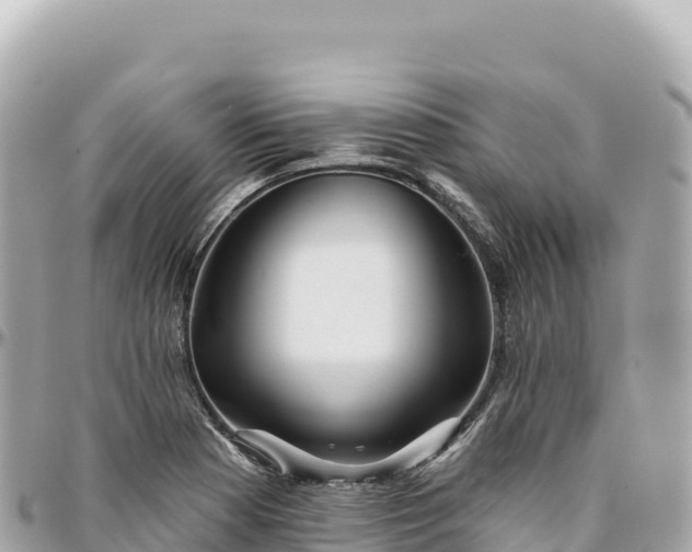 X0000095881177200801251134