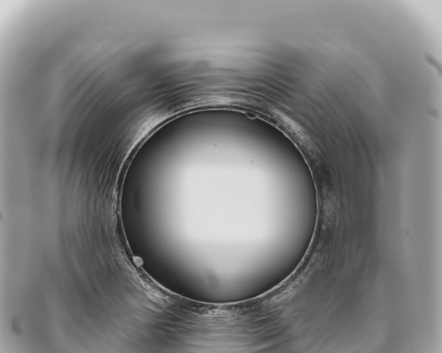 X0000095881178200801251134