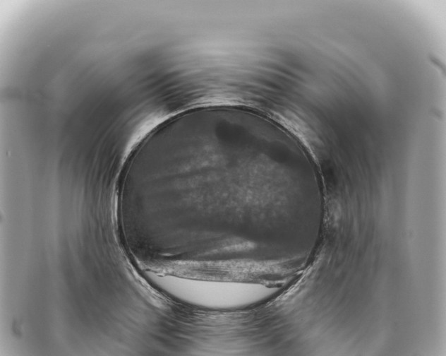 X0000095881179200801251134