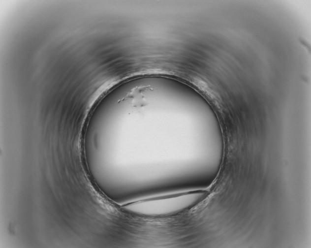 X0000095881181200801251134