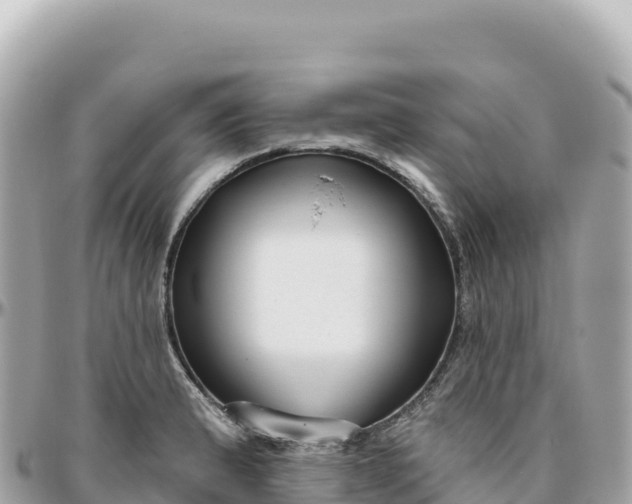 X0000095881183200801251134